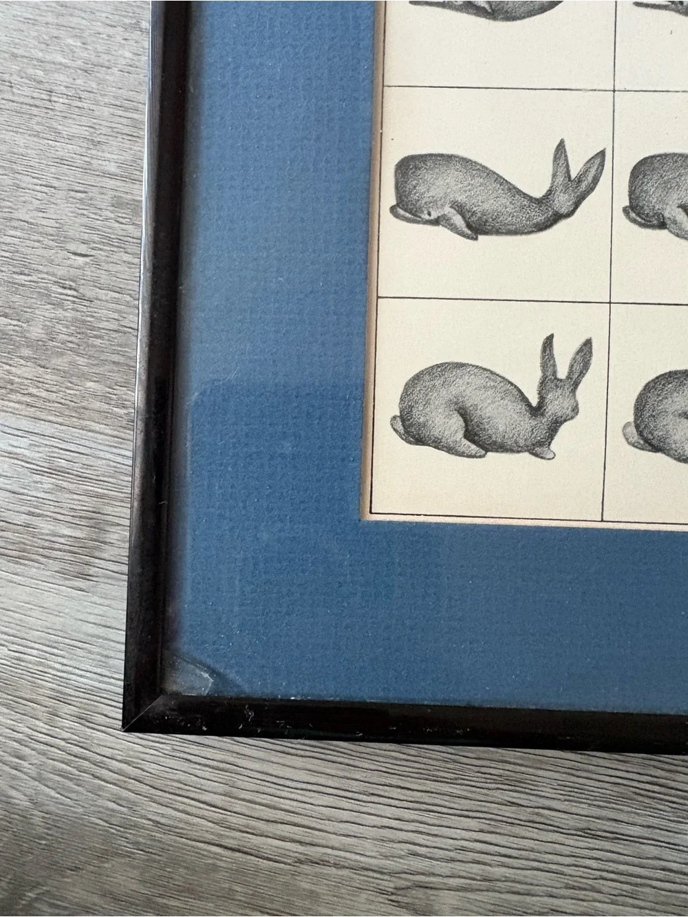 Framed Blue Rabbit and Whale vintage art